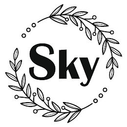 SKY logo