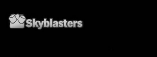 SKY BLASTERS logo