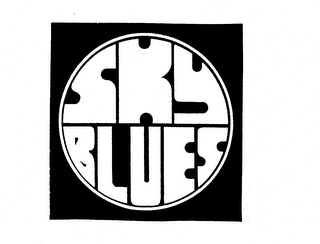 SKY BLUES logo