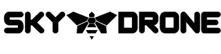 SKY DRONE logo
