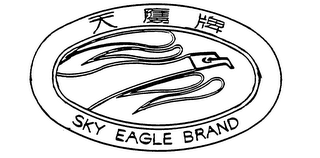 SKY EAGLE BRAND logo
