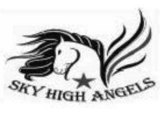 SKY HIGH ANGELS logo