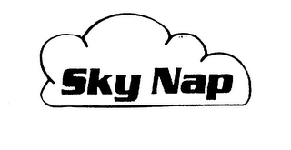 SKY NAP logo