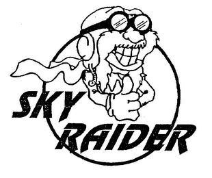 SKY RAIDER logo
