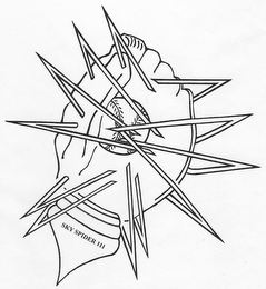 SKY SPIDER 111 logo