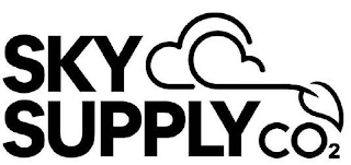 SKY SUPPLY CO2 logo
