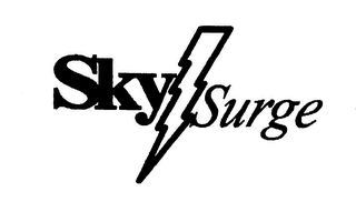 SKY SURGE logo