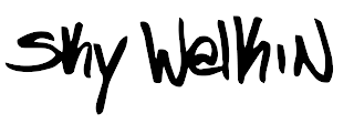 SKY WELKIN logo