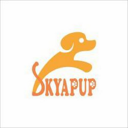 SKYAPUP logo