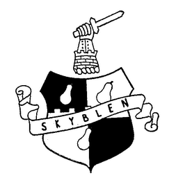 SKYBLEN logo