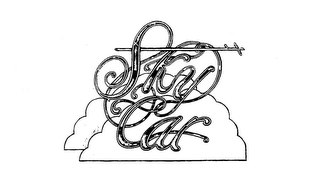 SKYCAR logo