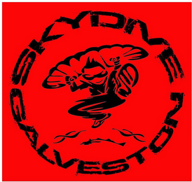 SKYDIVE GALVESTON logo