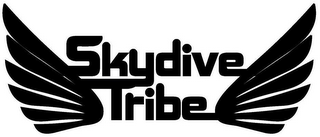 SKYDIVE TRIBE logo