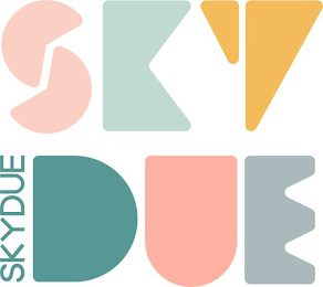 SKYDUE SKYDUE logo