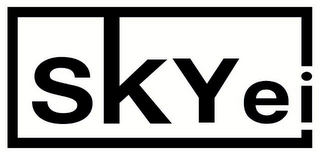 SKYEI logo