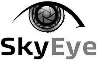 SKYEYE logo