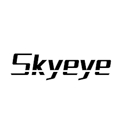 SKYEYE logo