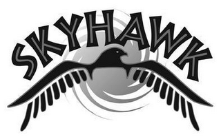 SKYHAWK logo