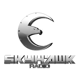 SKYHAWK RADIO logo