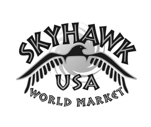 SKYHAWK USA WORLD MARKET logo
