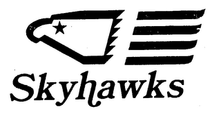 SKYHAWKS logo
