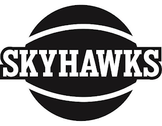 SKYHAWKS logo