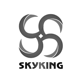 SKYKING logo