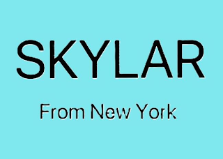 SKYLAR FROM NEW YORK logo