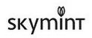 SKYMINT logo