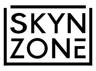 SKYN ZONE logo