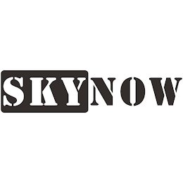 SKYNOW logo