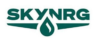 SKYNRG logo