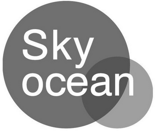 SKYOCEAN logo