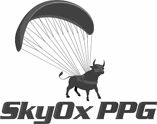 SKYOX PPG logo