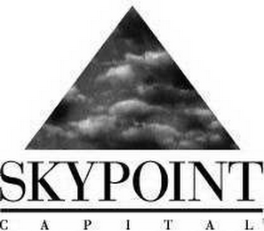 SKYPOINT CAPITAL logo