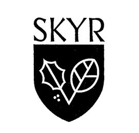 SKYR logo