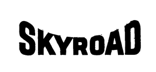 SKYROAD logo