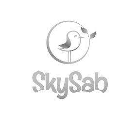SKYSAB logo