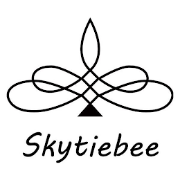 SKYTIEBEE logo