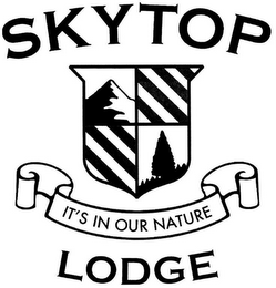 SKYTOP LODGE IT'S IN OUR NATURE logo