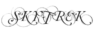 SKYTREK logo
