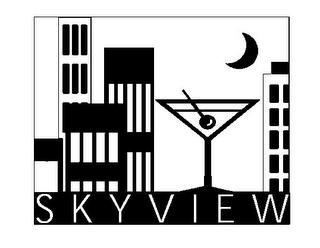 SKYVIEW logo