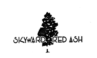 SKYWARD RED ASH