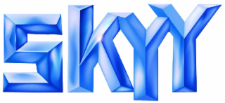 SKYY logo
