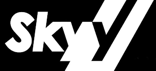 SKYY logo