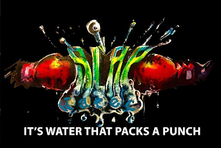 SLAP WATER IT'S WATER THAT PACKS A PUNCH logo