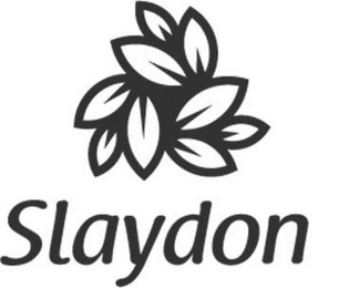 SLAYDON logo