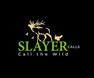 SLAYER CALLS CALL THE WILD logo