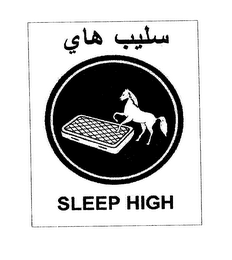 SLEEP HIGH logo