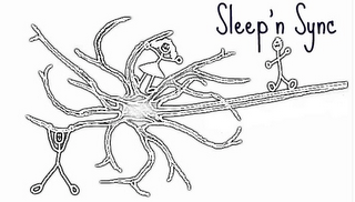 SLEEP 'N SYNC logo